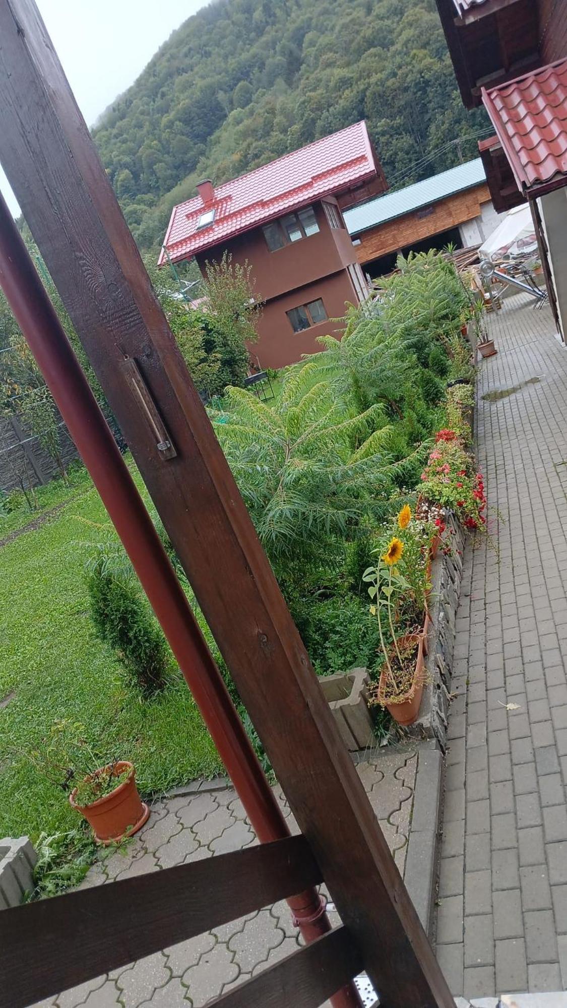 Pensiunea Carmen Bucium  Bagian luar foto